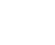 Evolution games at Sieger Casino